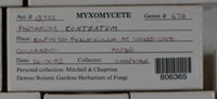 Image Associated With the Occurence